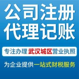 武漢青山代辦公司營業(yè)執(zhí)照、工商注冊與會(huì)計(jì)服務(wù)全攻略